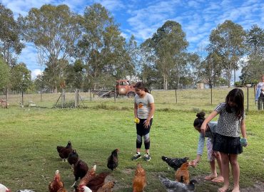 City Chicks